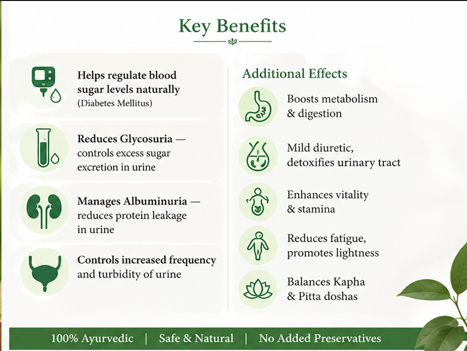 Madhumehari Churnan- Natural Balance for Your Blood Sugar