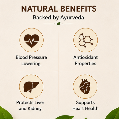 Arjun Chaal Churna 🌿 Pure Ayurvedic Heart Support