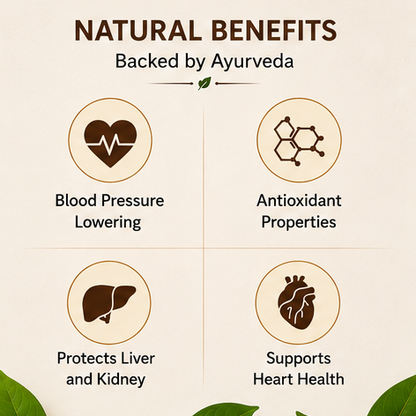 Arjun Chaal Churna 🌿 Pure Ayurvedic Heart Support