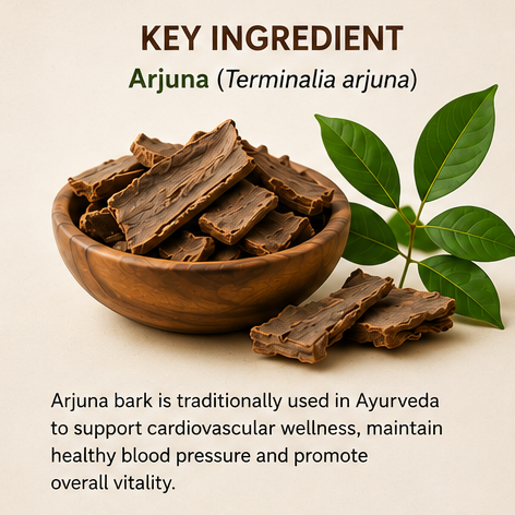 Arjun Chaal Churna 🌿 Pure Ayurvedic Heart Support